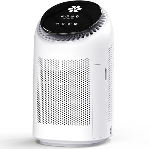 Lonxfy A01 Air Purifier Dehumidifier
