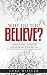 Why Do You Believe: A Practical Guide to Defending Your Faith by Luke Miiller