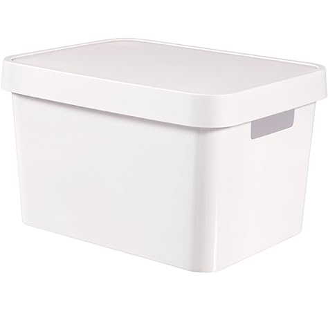 Curver 229282 Caja con Tapa , Blanco, 27 x 36,3 x 13,8 cm, 11 L: Amazon.es: Hogar