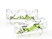 JoyJolt Set of 2 Double Clear Glass TeaLight Candle Holders Centerpiece TeaLight Holder