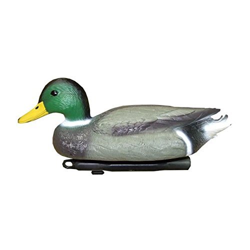 INTERHOME FLOATING DUCK