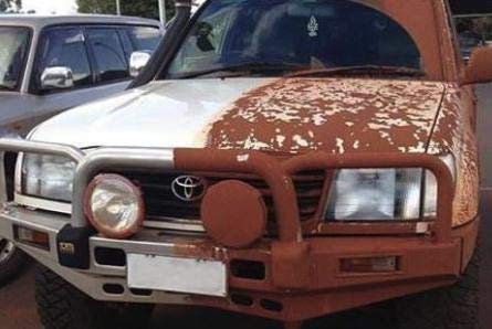 5 Shine+Armor+Fortify+Quick+Coat