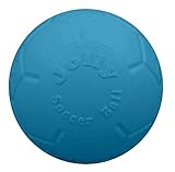 Jolly Pets 8' Soccer Ball, Ocean Blue, Medium/Large