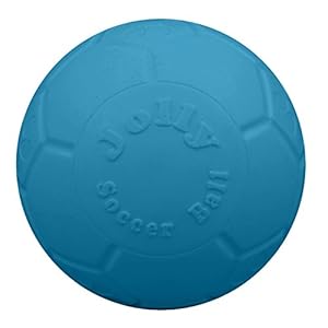 Jolly Pets Medium Soccer Ball Floating-Bouncing Dog Toy, 6 inch Diameter, Ocean Blue