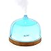 Housmile Essential Oil Diffuser (200ml ,Smallest) Ultrasonic Aromotherapy Baby Diffusers Cool Mist Aroma Humidifier with Waterless Auto Shut-off for Office Bedside Yoga Spa Living Room
