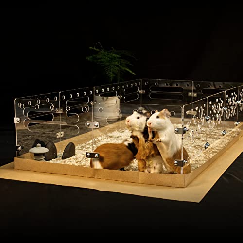 GuineaLoft™ Guinea Pig Cage (Version3) Large 4ft x 2ft Clear Acrylic  Cage, Closable w/Optional Lid, Easy-to-