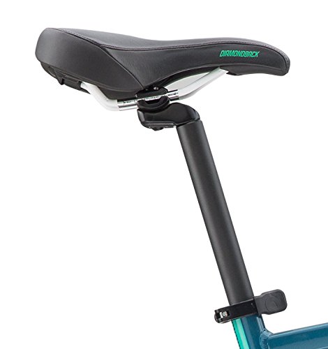 diamondback calico 1