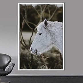 signwin Framed Canvas Wall Art Horse Animals Dramatic...