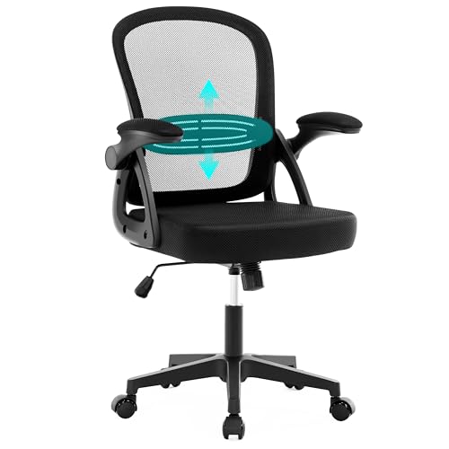 Fizzin Ergonomic Office Chair, Home Desk Chair, Adjustable Lumbar Support and Padded Seat, Breathable Mesh Computer Chair with Reversible Padded Armrests, Home Office Chair (Black)