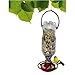 Easy to Make your Own - recycle empty SODA pop Bottle Top BIRD FEEDER (Green - Pack of 3)