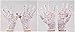 VIVIANSBRIDAL Women's 2016 Short Elegant Lace Wedding Gloves, White