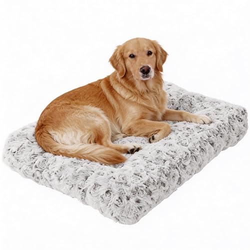 JimaPaws Large Dog Crate Mat