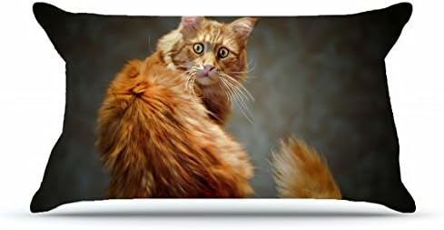 Hubery King Size 20X36 PillowCase Inches Cotton Pillowcases Decorative Pillow Cover with Hidden Zipper Decor Cushion Covers - Animals Kote cat tail red view eyes For Bedding Room