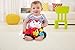 Fisher-Price Activity Fox
