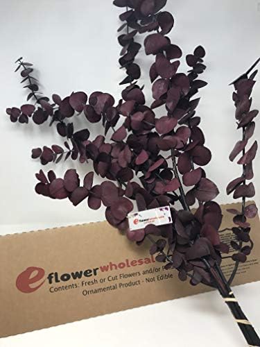 eflowerwholesale Fresh Preserved Eucalyptus Red Tone