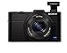 Sony RX100 II 20.2 MP Premium Compact Digital Camera w/ 1-inch Sensor, MI (Multi-Interface) Shoe and tilt LCD Screen (DSCRX100M2/B)