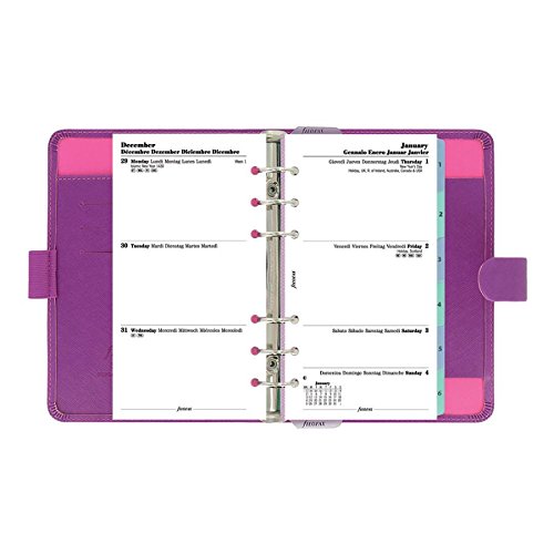 Filofax 2015 Personal Organizer Agenda, Saffiano Raspberry (022453-15)