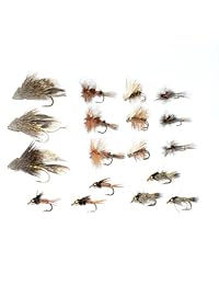 Trucha Volar Starter Assortment   Colección de 18 Mejor Selección de moscas para trucha Pesca con Mosca   Principiantes volar