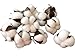 10 Pieces of Natural and Synthetic Blend Cotton bolls (Balls) for Wreaths, Decor, Off Stick Branches Wired raw Look White Cotton Branch Picks