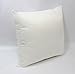 Mybecca Hypoallergenic Insert Polyester Pillow Form, 20