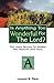 Is Anything Too Wonderful For The Lord? by 