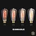 Amber Dimmable Incandescent Light Bulbs 60 Watt ST64 Style - 4 Pack Edison Bulbs, E26 | E27 Base, 2200K Warm White, 210 Lumens, Vintage Exposed Filament, 2500 Hr Lifespan, for Indoor & Outdoor Use