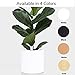 PEACH & PEBBLE 10 Inch White Ceramic Planter. Classic Cylinder Plant Pot for House Plants and Indoor Plants (Drainage + Stopper Included).