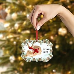 Domesticated New Zealand Red Rabbit Christmas