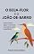 Livro O Beija-flor e o João-de-barro: Uma história sobre equilíbrio, para emocionar crianças e adultos