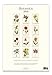 Cavallini Papers & Co CAL16-19 2016 Botanica Wall Calendar