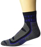 Balega Blister Resist Quarter Socks For Men and Women (1 Pair)