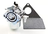 Briggs & Stratton 497581 Carburetor