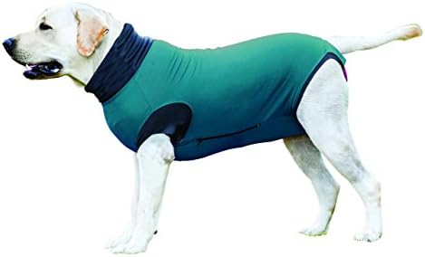 MAXX Dog Medical Pet Clothing, After Surgery Wear For Dogs & Recovery Shirt For Dogs & Cats, E Collar Alternative & Cone Of Shame For Post Operative, Pet Healing, Anxiety, Infection, Wounds & Bandages