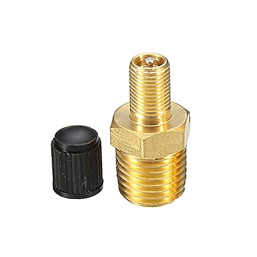 Air Compressor Valve,Automobile Pneumatic Valve Core with Sealing Caps for Air Compressor Tank Filling(1/4 NPT)