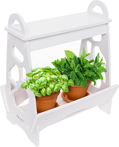 Mindful design led indoor herb garden - at home mini pl…