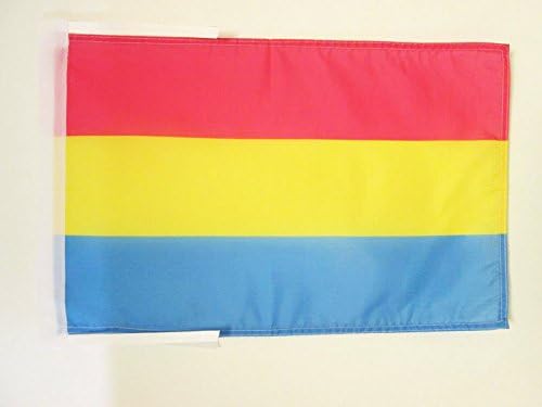 AZ FLAG, Pansexual Flag, 18'' x 12'', 100% Polyester pansexuality Small Banner with Two Cords, Fade Resistant, Vivid Colors