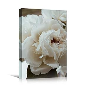 signwin Canvas Wall Art White Petal Close Up...