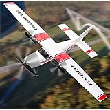 RC Plane 2.4Ghz 2 Channels RTF RC Airplane, RC Aircraft with 3-Axis Gyro for Beginner Easy to Fly EPP Glider Toys (Wingspan 310mm)