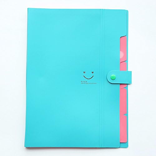 Plastic Folder Organizer Clipboard Accordian Lateral Expanding File Folder