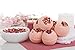 Bloom Bath Bombs Set - Pack of 6 Luxurious Herbal Bath Fizzies - Artisan, Handmade, Spa Experience - with Natural Oils and Butters