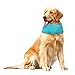 PUPTECK Dog Cooling Bandana Ice Chill Out Scarf for Summer Large