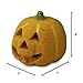 Ceramic Carved Pumpkin | Fireproof Ceramic Decoration for Fire Pits and Fireplaces | Faux Halloween Decor, Single Pumpkin