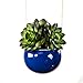 Fanci Life Garden 3 Inch Small Indoor And Outdoor Hanging Planter Flower Pot Ceramic Set With Natural Rope For Succulent