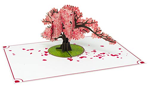 Paper Love Cherry Blossom Pop Up Card, 3D Popup Greeting Cards, For Mothers Day, Graduation, Spring, Valentines Day, Wedding, Anniversary, Birthday, Any Occasion