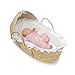 Hooded Baby Moses Changing Basket with Pad and Cover