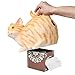 WHAT ON EARTH Cat Butt Tissue Holder - Orange Tabby Cat Square Tissue Box Cover- Cute Bathroom Accessories - Resin Tissue Dispenser
