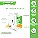 Complete Kombucha Starter Kit with Premium SCOBY Starter for Delicious Brewing- Gallon Brewing Jar, Tea Bags, Temperature Gauge, Organic Sugar and More - By Kitchentoolz