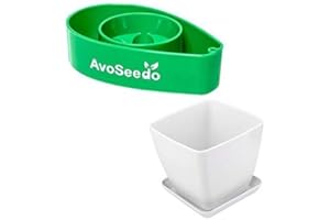 AvoSeedo Avocado Tree Growing Kit with Pot - Practical Gifts for Women, Mom, Sister, Best Friend & Kids | Plant Indoors with Novelty Pit Grower Boat | Gardening Gifts for Women