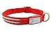 Pet Industries Metal Buckle LED Dog Collar, USB Rechargeable, Available in 7 Colors & 4 Sizes (Large [18.5-23.5