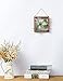 Mkono Air Plant Frame Hanging Airplant Holder Tillandsia Display Hanger Wooden Shelf Wall Decor for House Plants, Succulent, 8